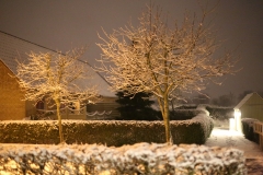 FRP_8189